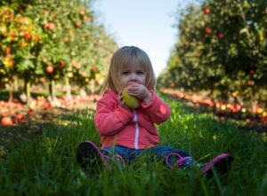 El papel de la comida ecológica en la nutrición infantil y adolescente: Un enfoque sostenible.